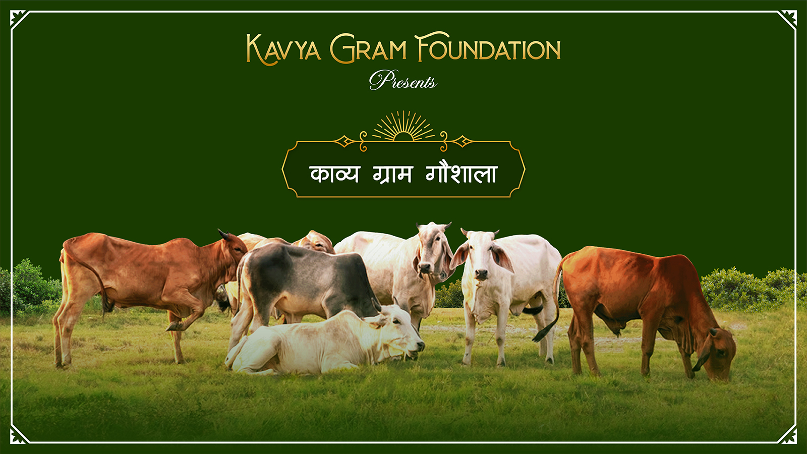 gaushala